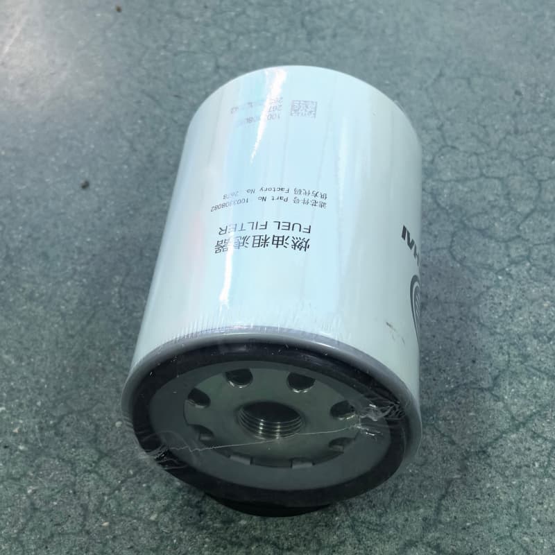 Weichai 1003308082 Fuel Filter with detailed view