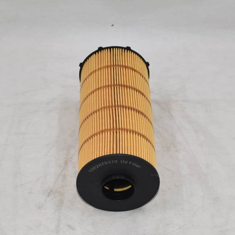 1002070370 Weichai Oil Filter