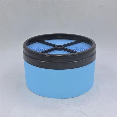 Air Filter P040365