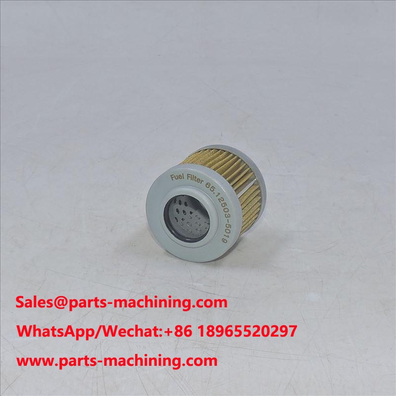 Fuel Filter 65.12503-5019