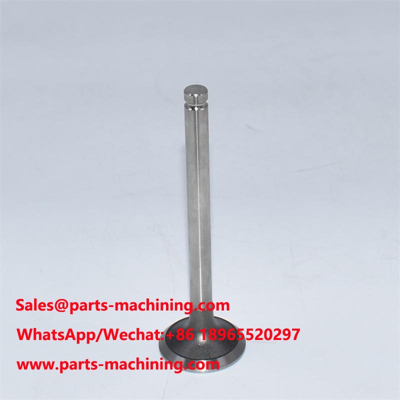 Exhaust Valve 905-003