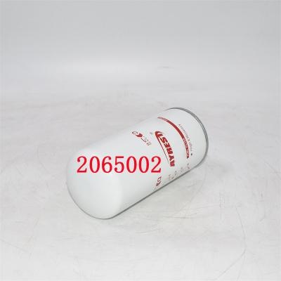 2065002 فیلتر سوخت 2002041593 تعویض