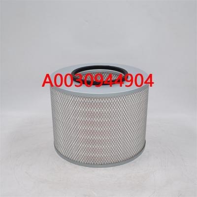 Air Filter A0030944904