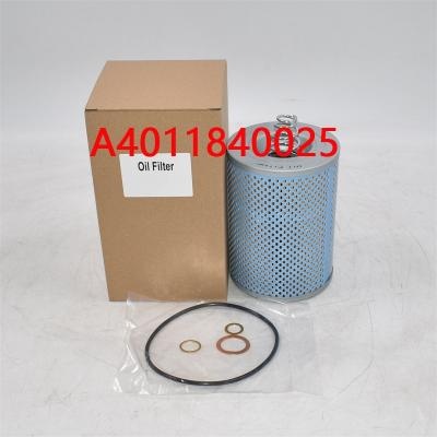 A4011840025 Oil Filter