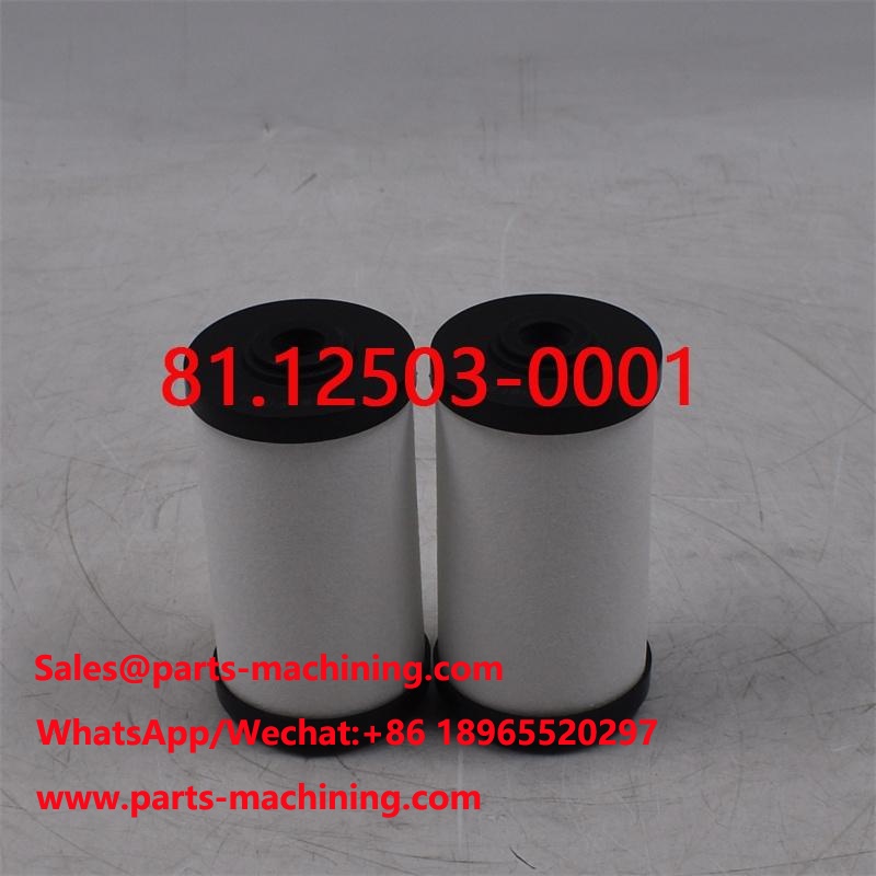 Fuel Filter 81.12503-0001