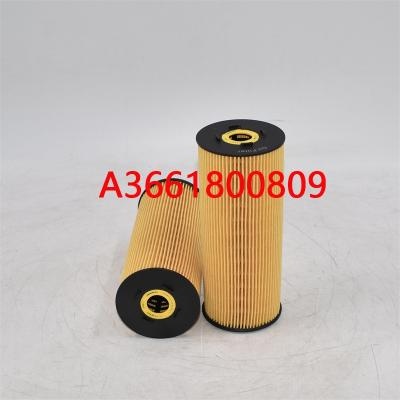 فیلتر روغن اصلی A3661800809 3661800809