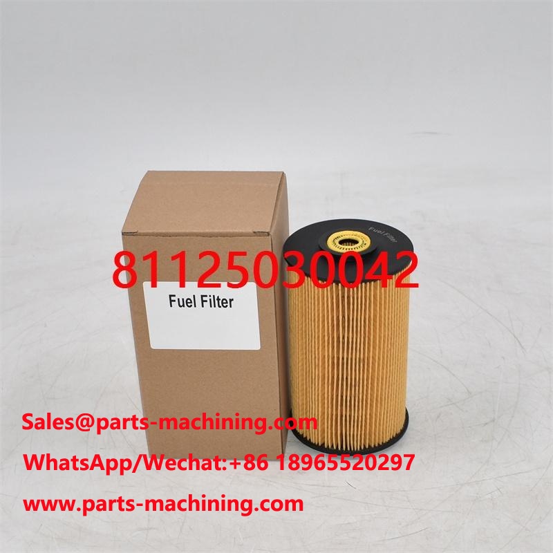Fuel Filter 81125030042