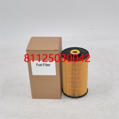 Fuel Filter 81125030042