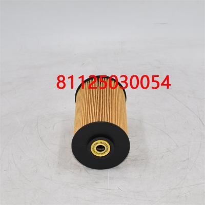 فیلتر سوخت ۸۱۱۲۵۰۳۰۰۵۴ ۸۱۱۲۵۰۳۰۰۱۸