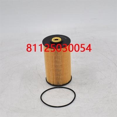 Fuel Filter 81125030054