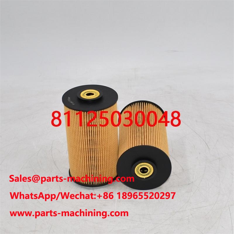Fuel Filter 81125030048