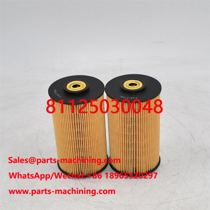 Fuel Filter 81125030048