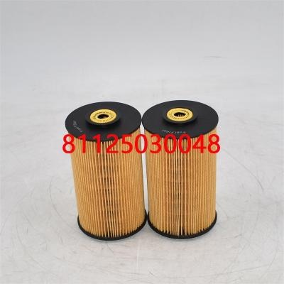 Fuel Filter 81125030048