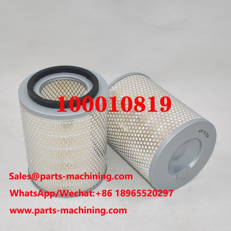 Air Filter 100010819